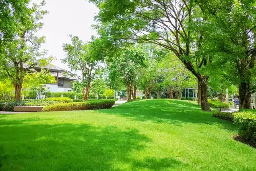 Benefits Of Aeration And Seeding In Lawn Maintenance Prescott Valley, AZ Benefits Of Aeration And Seeding In Lawn Maintenance Prescott Valley, AZ