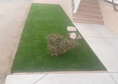 Landscape Services