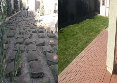Landscaping Services 1.1