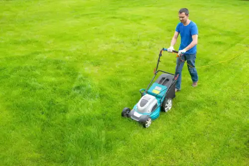 Lawn Care Service Lawn Care Service