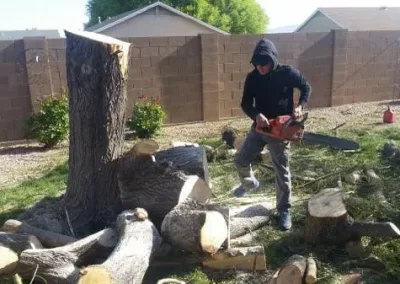 Our Work Forevergreen Landscaping JR LLC17