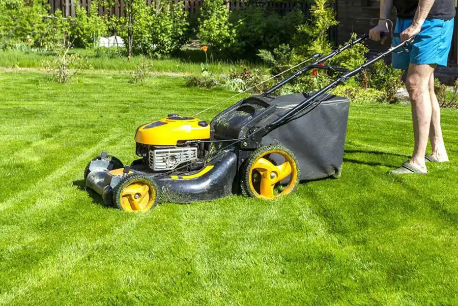 Professional Landscape Contractor in Prescott Valley, AZ Professional Landscape Contractor in Prescott Valley, AZ