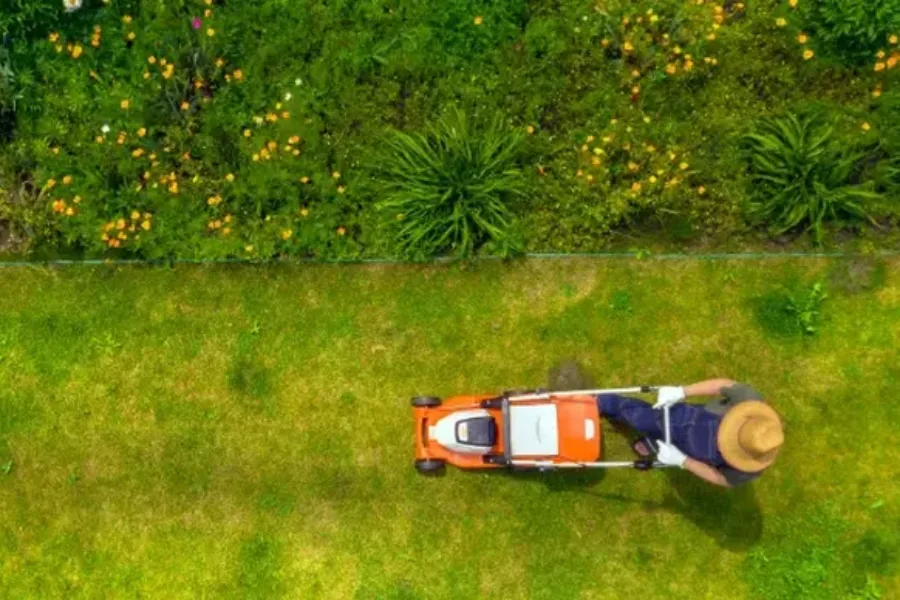 Professional Lawn Maintenance Prescott Valley, AZ Professional Lawn Maintenance Prescott Valley, AZ