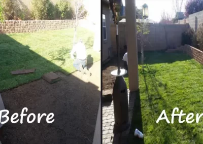 Professional Lawn Maintenence