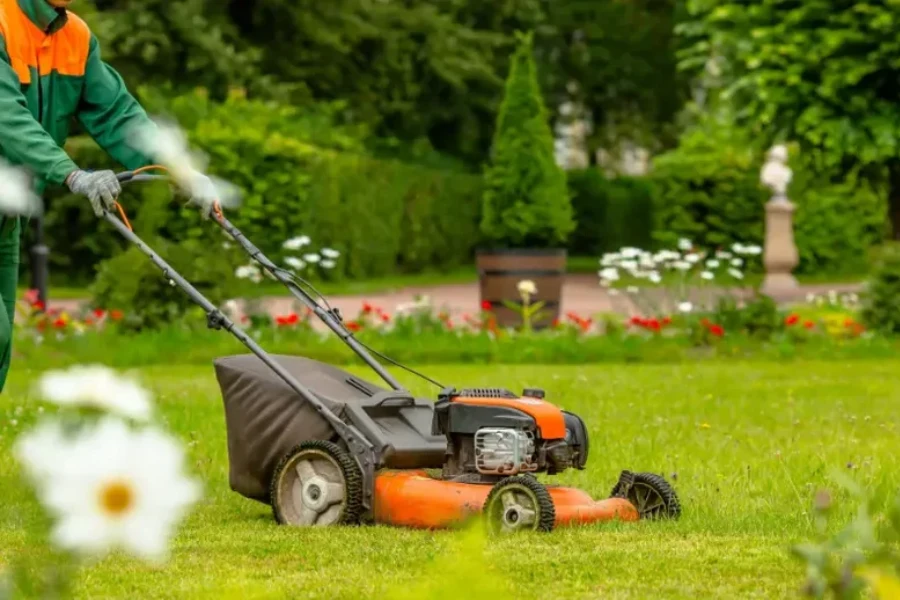 Reputable Lawn Maintenance Prescott Valley, AZ Reputable Lawn Maintenance Prescott Valley, AZ